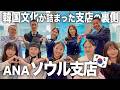【日韓の架け橋】潜入取材！オフィスの中に4つの秘密の委員会！？韓国最新トレンドやおもてなし文化もたっぷりお届け！✈️🇰🇷