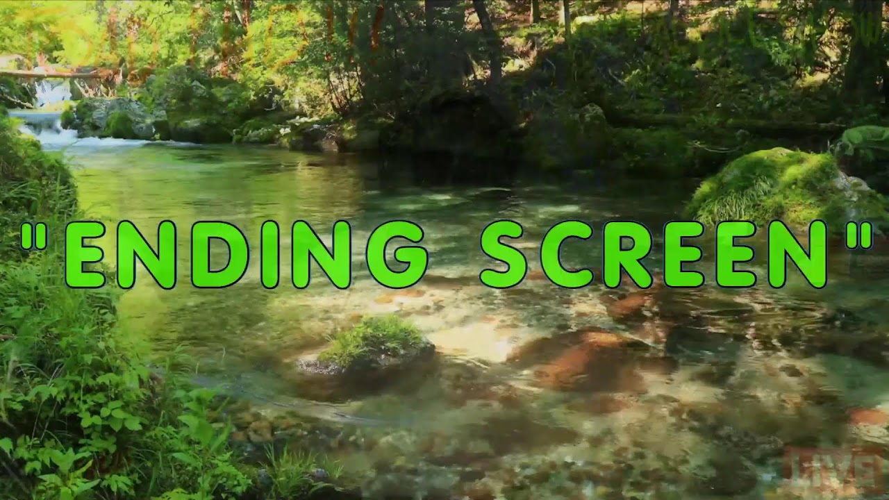 ONLINE ADVICE SHOW | !CALL 202-935-0688 FOR FREE HELP! | 3$/300 TTS |