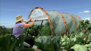 Accordian Greenhouse