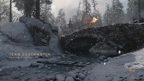 Call of duty: WW2 using the PPSH with suppressor