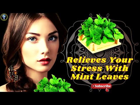 Benefits of Mint Leaves || True Facts || Peppermint Leaves