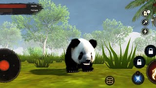 The Panda || 🐼