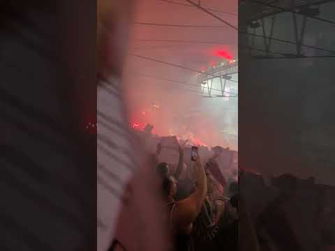 Vamos, Tricolores! -