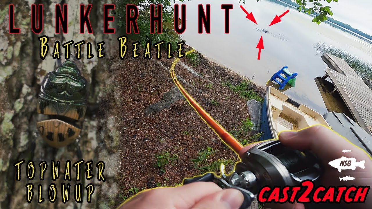 The Battle Beatle from Lunkerhunt Catches Bass!