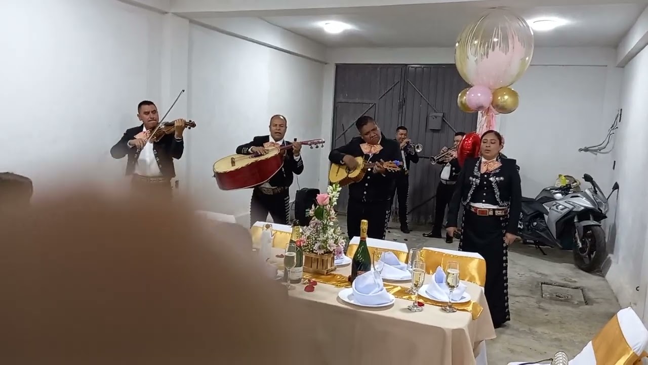 *MARIACHI VOZ MESTIZA DE LOS REYES LA PAZ* 