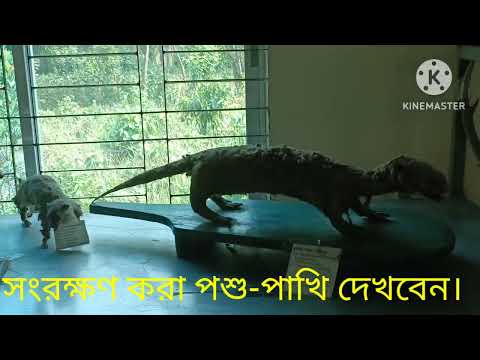 ভিডিও: মিসৌরি হিস্ট্রি মিউজিয়ামে গোধূলি মঙ্গলবার