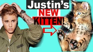 Justin Bieber's New Savannah Kittens!