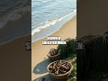 Storm on the Shoreline: A Practical Survival Tale