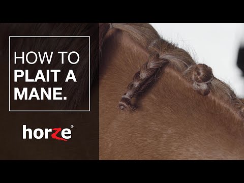 How to plait your horse's mane - Tutorial