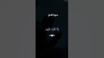 #لايك #اكسبلور #قرآن #راحة_نفسية #سورة النحل #فارس_عباد