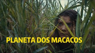 Planeta Dos Macacos - O Reinado