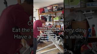 It Was Always This Simple