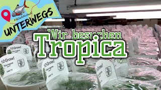 Woher kommen unsere Aquarienpflanzen? | Zu Besuch bei Tropica Teil 1 | AQUaddicted unterwegs