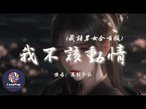 萬能和弦 - 我不該動情 (藏語男女合唱版)『我奉上全部真心 沒有回頭的餘地，卻換來你不要我的結局。』【動態歌詞 | Pinyin Lyrics】【LoopPop MUSIC】