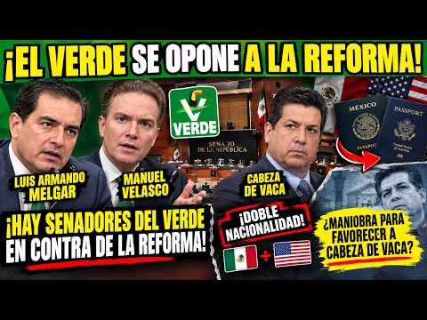 CONTROVERSY ERUPTS, THE GREEN PARTY ALSO HAS DUAL NATIONALITY, THEY WILL VOTE AGAINST IT!