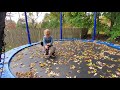 Puppy on a trampoline!  Blue tries out the trampoline with Harrison!