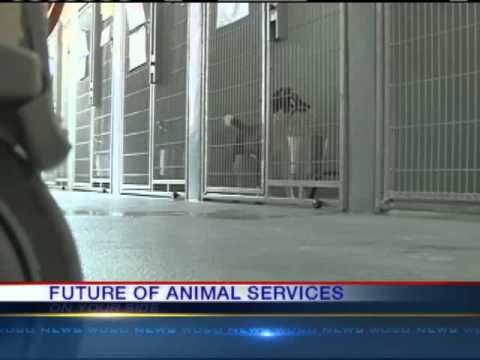 Humane Society Of Nw Louisiana