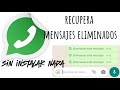 Cómo 𝗥𝗘𝗖𝗨𝗣𝗘𝗥𝗔𝗥 𝗠𝗘𝗡𝗦𝗔𝗝𝗘𝗦 𝗘𝗟𝗜𝗠𝗜𝗡𝗔𝗗𝗢𝗦 𝗗𝗘 𝗪𝗛𝗔𝗧𝗦𝗔𝗣𝗣 / NUEVO MÉTODO / Recupera tus mensajes borrados