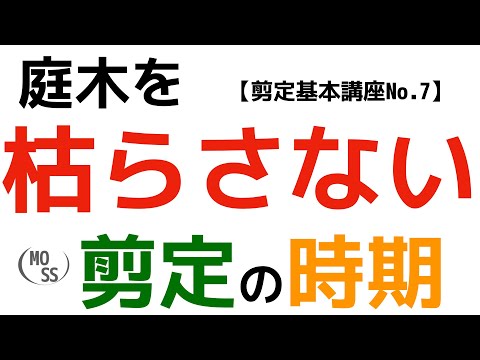 【剪定基本講座No.7】剪定の時期について【枯れない枯らさない！】