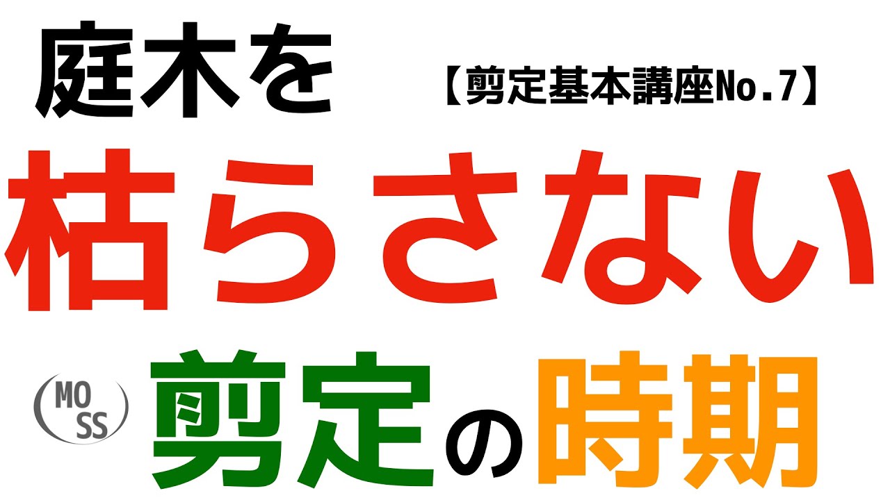 剪定基本講座no 8 庭木を傷めない剪定位置と癒合剤 おすすめ剪定癒合剤 Youtube