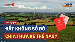 Đất Không Sổ Đỏ, Chia Thừa Kế Thế Nào? | LuatVietnam