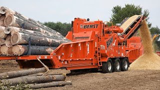 Dangerous Fastest Large Wood Shredder Equipment so Easy, Biggest Tree Cutting & Chipping on Street