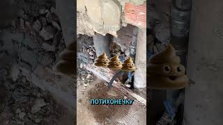 👉 КАНАЛИЗАЦИЯ ПОД МИКРОСКОПОМ