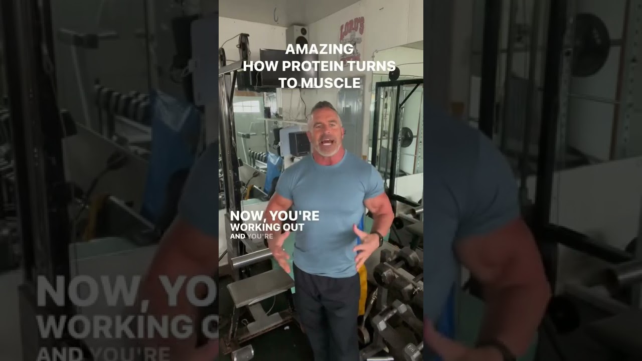 HOW PROTEIN TURNS TO MUSCLE