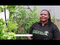 Mkulima Kilimo Kwa Ajili Ya Lishe Mashuleni Mkulima Kilimo Kwa Ajili Ya Lishe Mashuleni