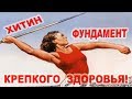 Хитин - Фундамент Крепкого Здоровья | Chitin - the foundation of good health