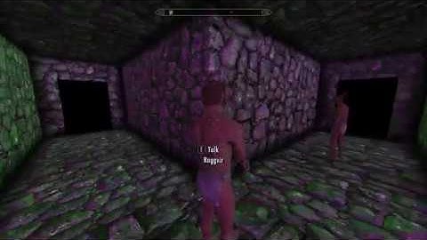 The Elder Scrolls V: Skyrim- Interrupting Roggvir