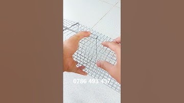 Cách sử dụng lồng bẫy chuột, bẫy sóc đơn giản hiệu quả #shorts