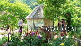 ACAO FOREST 2022 Spring Rose Garden. #4K アカオ フォレスト