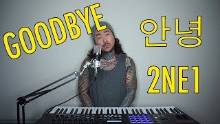 GOODBYE (안녕) – 2NE1 | Lawrence Park Cover