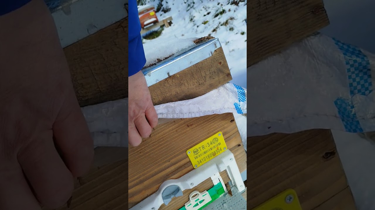 23 Şubat 2025.Arılar Ne Durumda Diye Kontrol Ettim.Hepsi Maşaallah iyi 🐝🐝🐝🇹🇷🇹🇷🇹🇷