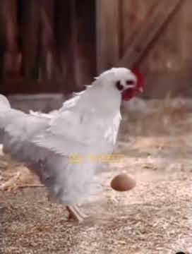 Empet- empetan - Benyamin S.