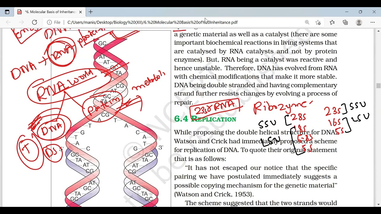 L-2 DNA | 11 JAN | NEET-2022 | BY MANISH SIR | NEW LIGHT INSTITUTE
