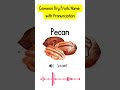 Common Dry Fruits Name With Pronunciation Common Dry Fruits Name With Pronunciation