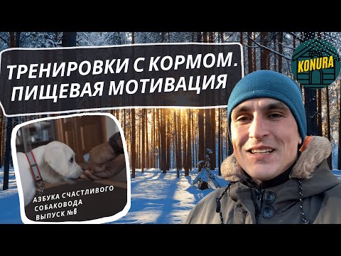 Пищевая мотивация у собак. Тренировки с кормом. Азбука счастливого собаковода. Выпуск 6