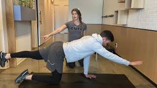 Trunk Stability Exercises