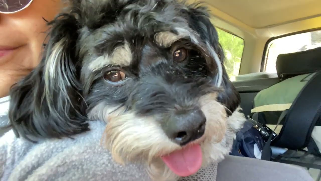 Family Camping 2022 @ Idaho Springs