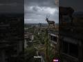 Wild Deer Have Taken Over Entire Abandoned Japanese Cities #wildlifedocumentary