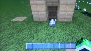 Minecraft Silvester Special