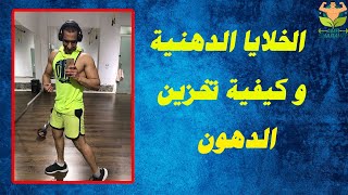 لايف كيفية خساره الدهون و اكتساب الوزن مره اخري!؟