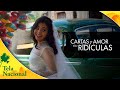 Cartas de Amor são Ridículas (2016) • Filme de Drama | Tela Nacional