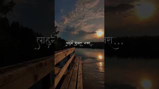 feel the marathi song 🎶 kali bindi song with lyrics #trending #shorts #reel #editing