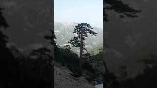 Torosların zirvesinden selâm olsun yiğidin harman olduğu yerler buralarda çakallara yer yok