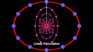 Polarizations of Gravity Waves