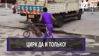 Цирковая обезьяна уехала от собаки на велосипеде в Азии Цирковая обезьяна уехала от собаки на велосипеде в Азии