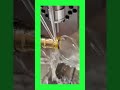 High-precision CNC machine carving a beautiful gold ring with extreme accuracy! #shorts